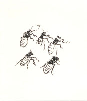 Par la voie des rythmes / Henri Michaux | Michaux, Henri (1899-1984)