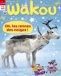 WAKOU : pour les petits curieux de nature / dir. publ. Patrice Amen | Amen, Patrice. Metteur en scène ou réalisateur