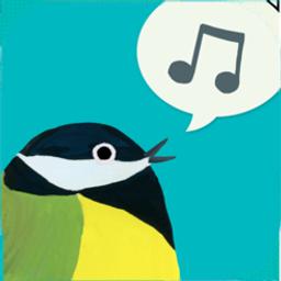 Birdie memory : apprendre le chant des oiseaux | 